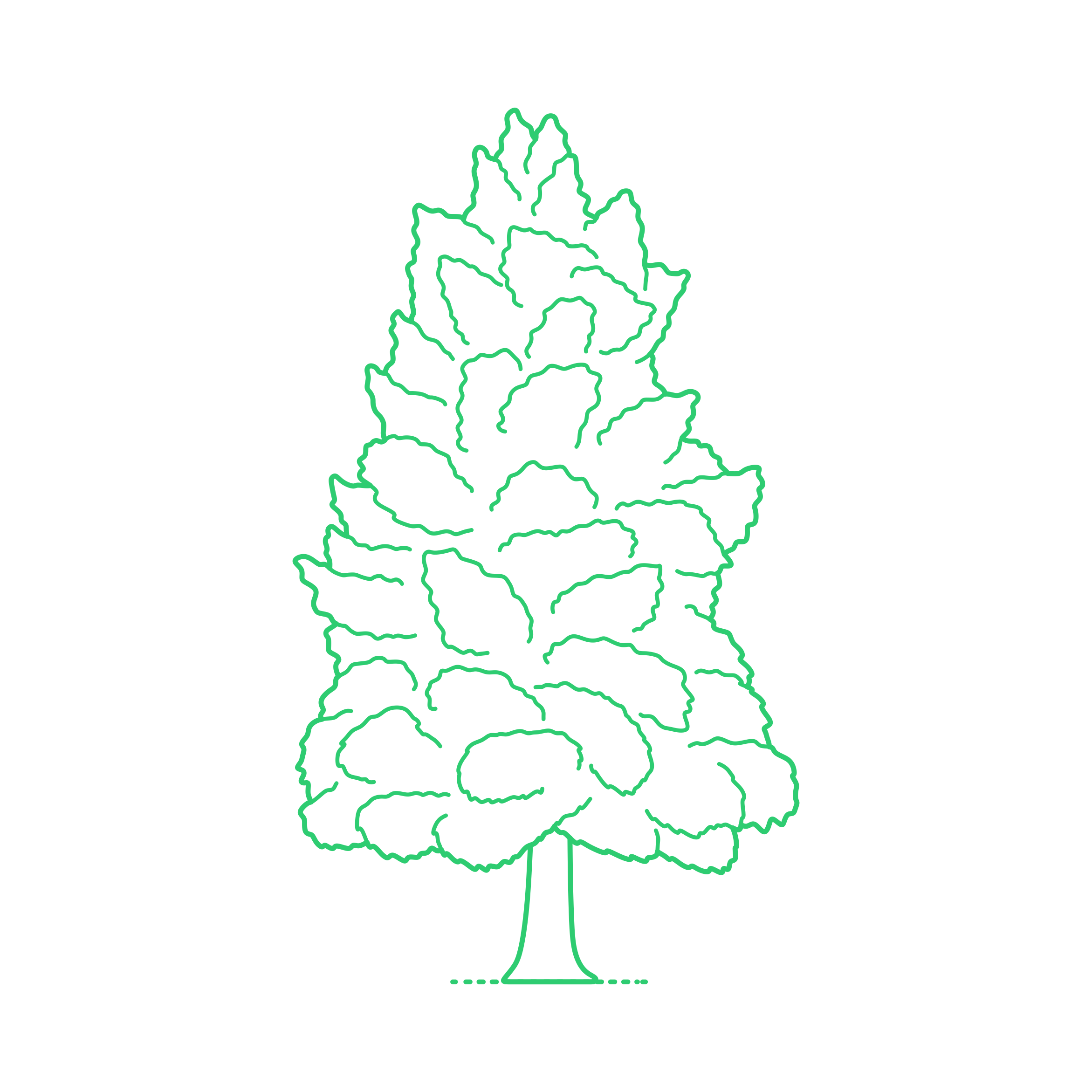 Plants Bald Cypresses Craft Design Svg File Free Vectors